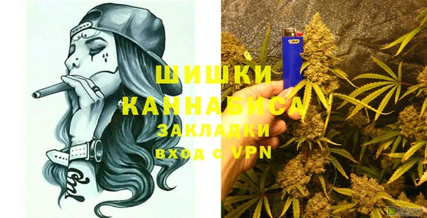 твердый Краснослободск