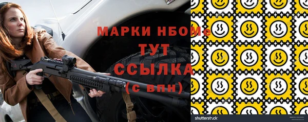 твердый Краснослободск