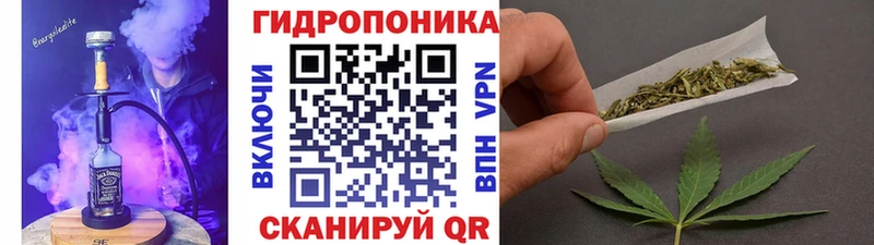 Конопля гибрид  Туран 